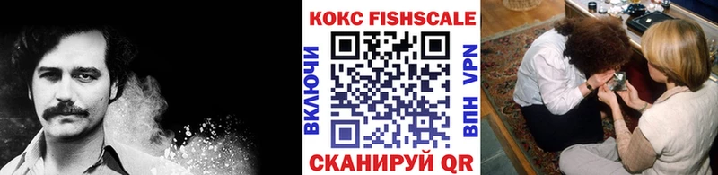 Cocaine Fish Scale наркотики Гусь-Хрустальный