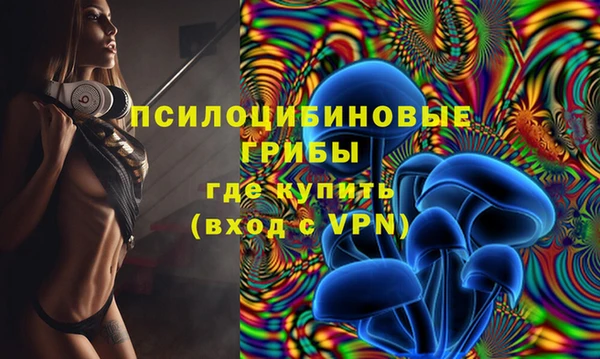 гидра Бронницы