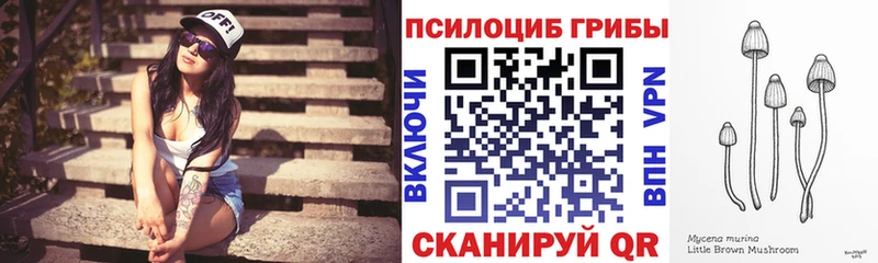 купить наркотик  Гусь-Хрустальный  Галлюциногенные грибы Magic Shrooms 