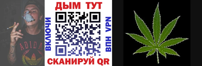 Канабис семена  блэк спрут зеркало  darknet Telegram  Гусь-Хрустальный 